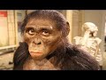 The Missing Link (BBC Documentary)