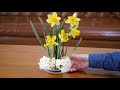 【生け花】剣山購入！水仙３種【ikebana】i bought kenzan！ narcissus 水仙花 narciso jonquille narzisse 수선화 нарцисс