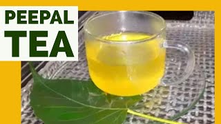 Organic Tea - Fresh Peepal Leaf Tea. (English Captions)