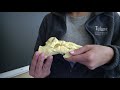 Foot( tarsals, metatarsals, phalanges)