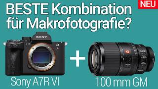 The Best Camera for Macro Photography? Sony A7R VI