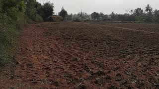 98 cents land for sale in Shoolagiri