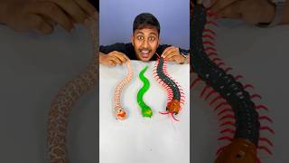 Remote Control Kankhajura and RC Snake #rcsnake