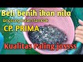 Beli bibit benih ikan Nila hitam Unggul untuk Bioflok black prima