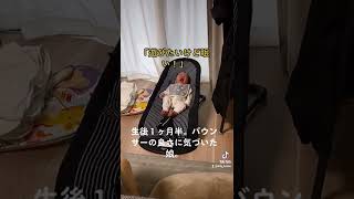 【癒し】　赤ちゃん　その２０　バウンサーの良さに気づいた娘