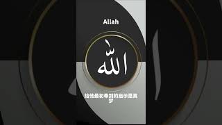 诵读吧！#穆罕默德 #古兰经 #allah #islam #kuran