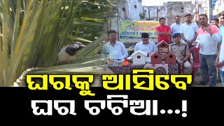 ଘରକୁ ଆସିବେ ଘର ଚଟିଆ...! | Odisha Reporter