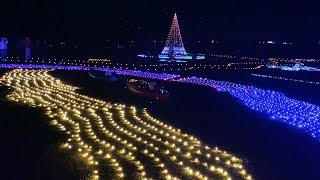 クリスマス色に輝く四万十川　河川敷にイルミネーション