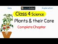 Class 4 Science Plants and their care