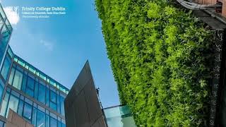 Trinity Business School – Trinity College Dublin
