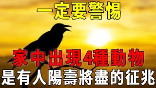 風水大師說：家中一旦出現這4種動物，是閻王爺在警告，有人陽壽將盡！一定要警惕了！【曉書說】