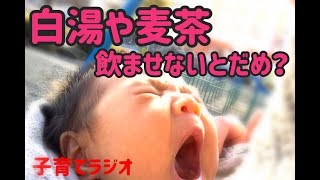 白湯や麦茶を飲まない！赤ちゃんの湯冷ましは必要？母乳やミルクでも大丈夫？小児科医師監修の子育てラジオ