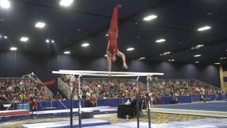 Robert Neff - Parallel Bars - 2017 Winter Cup Finals