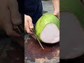 🌴Coconut🥥#coconut #tree #shorts #short #shortvideo #subscribe #funny #foryou #food #fyp #fun #bts