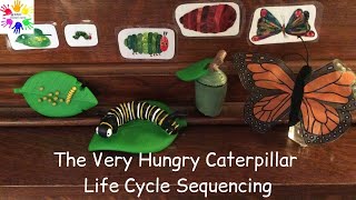 Literacy - The Very Hungry Caterpillar Life Cycle Sequencing