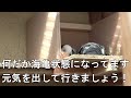 ハトヲ達の赤ちゃんです