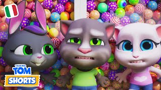 Caos Ball-tastico: La Grande Avventura del Rimbalzo! ⚽ - Talking Tom - Cartoni animati per bambini