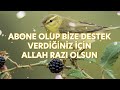 🌺🌺 bİrbİrİnden gÜzel harİka İlahİler 🌺🌺