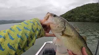 December Bassing at Goedertrouw Dam