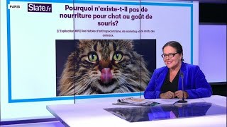 'Why isn't there mouse-flavoured cat food?' • FRANCE 24 English