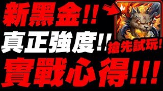 【神魔之塔】新黑金『真正實戰後心得！』值得200顆魔法石嗎？真是獸隊救星嗎？看完秒懂！【實話實說系列】【賢者之石．元獸賈比爾】【小許】