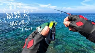 【磯釣】東吉嶼D3｜南方四島｜東吉船頭尖｜釣不到魚就玩水｜2022/06/2020