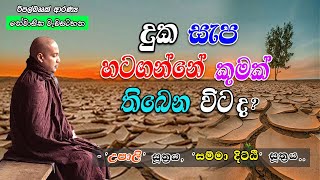 දුක සැප හටගන්නේ කුමක් තිබෙන විට ද? (-‘උපාලි සූත්‍රය’, ‘සම්මා දිට්ඨි’ සූත්‍රය..)