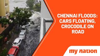 Chennai floods: Viral videos capture cars floating, crocodile on road & more amid Cyclone Michaung