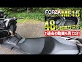 新型フォルツァ250mf15 バイク納車から1ヶ月の点検、車体レビュー、ラゲッジボックス内公開 2021honda forza 【モトブログ】