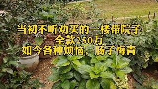 250万买了一楼带院子的房子，住了三年后悔了三年，真是太坑人了