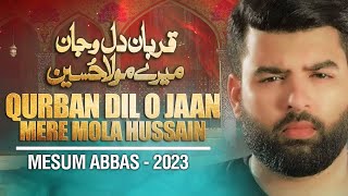 QURBAN DIL O JAAN MERE MOLA HUSSAIN | Mesum Abbas | Nohay 2023 / Muharram 1445