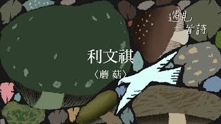 遇見一首詩：蘑菇 / 利文祺