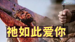 生命智慧 181 【祂如此爱你】  这支影片会让你掉眼泪 l 装备生命