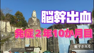 脳幹出血、右片麻痺後遺症、車椅子生活からの、しっかり1000日リハビリを経て、発症２年10か月目の歩行状況(毎日散歩.壁建て伏せ.屈伸運動等)