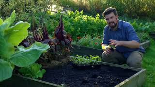 🔴 Gardeners' World 2022 | 10 Raised Bed Gardening Lessons You Need to Know 2022