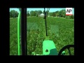 More than a century ago, a Japanese plant called kudzu was imported to the U.S. to reduce erosion on