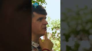 Вкрали 200 робіт МАРІЇ ПРИМАЧЕНКО #shorts