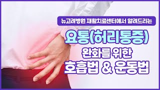 [뉴고려병원] 요통(허리통증)완화를 위한 호흡법과 운동법!