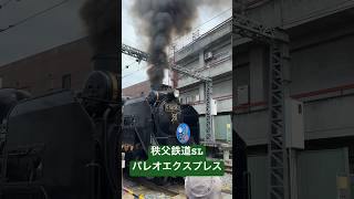 秩父鉄道 SLパレオエクスプレス