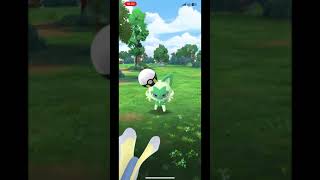 Shiny Sprigatito Communtiy Day Pokemon Go #pokemon #pokemongo #youtube #youtubeshorts