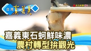 “嘉義東石蚵”的新活路｜白水湖蚵學家｜【台灣真善美】2019.08.18