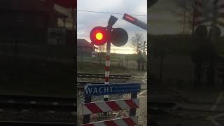 Spoorwegovergang Beek-Elsloo // Dutch Railroad Crossing