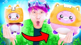 NEW LANKYBOX THICC PLUSHIES!? (HUGE REVEAL!)