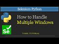 How to Handle Multliple Windows in Selenium Python | Selenium Python Tutorial Tamil #selenium