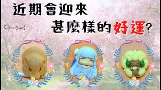 【AKINO塔羅直播精華】最近我有哪些事情要注意?又會有甚麼好運降臨呢?  #塔羅