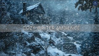 Winter Storm Howls ❄️ Icy Blizzard Ambiance for Sleep, Study, and Calm Winter Night Relaxation