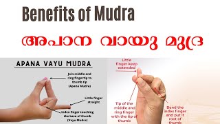 അപാന വായു മുദ്ര | apana vayu mudra benefits