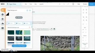 Usability Test Findings Project #4