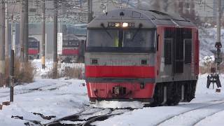 JR貨物　DF200-901試作車 単機回送　RED BEAR　五稜郭駅