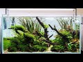 Aquascape Build Step by Step - Nature Aquarium Tutorial in an Eheim Clearscape 200 (90x50x45cm)